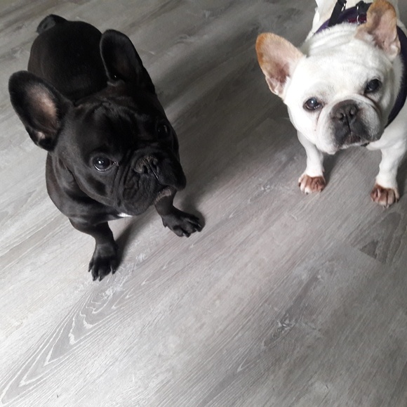 Meet your Posher, Jessica - Picture 4 of 11